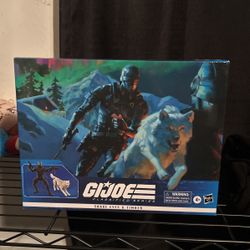 Gijoe Hasbro