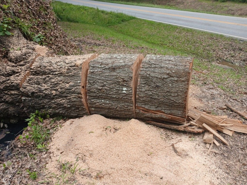 Free Firewood In Harris County Off Exit 19