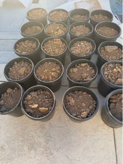 Fresh Free Dirt