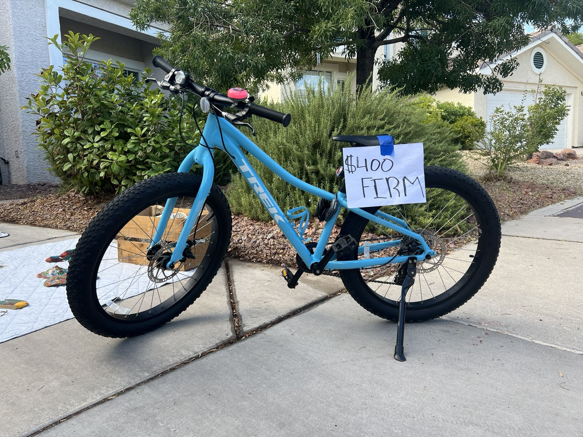 Trek Roscoe Children Mountain Bike