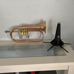Dillon flugelhorn + case, cover and mouthpiece
