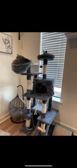Cat Tree