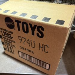 2025 Hot Wheels Basic Car Case H L2593-974 1:64 Diecast