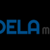 PADELA MOTORS LLC