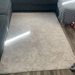 Tan area rug from WM