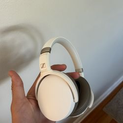 Sennheiser Headphones 