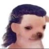 HIM