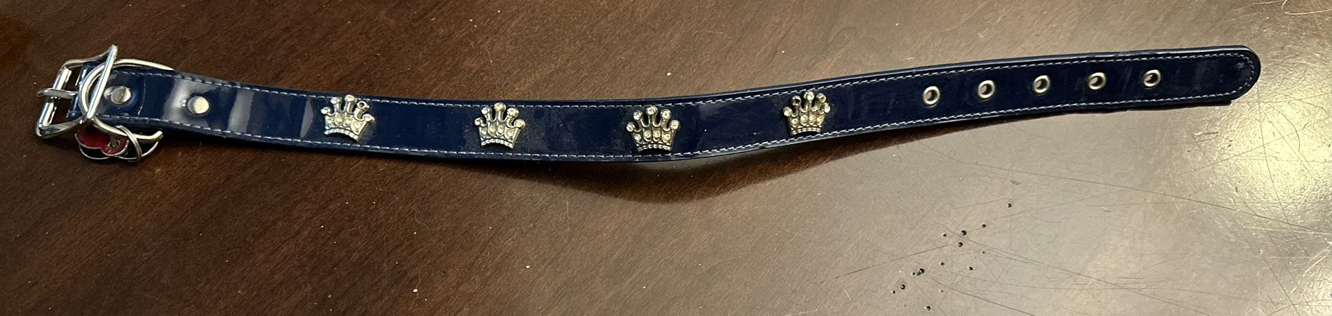 Dog Leash 