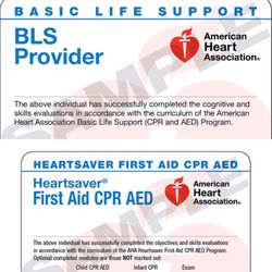 Same day ecard CPR Certificate 