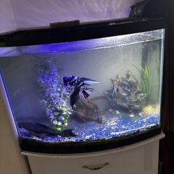 Fish Tank 35 Gallons 