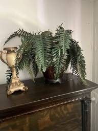 Faux Plants