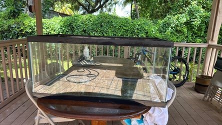 I bought this fish tank for my fish she outgrew it so I’m gonna sell it to buy a new tank for her