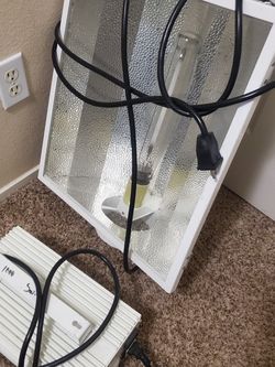 X Treme Garden Lighting With 1000 Wt Ballast