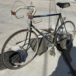 Vintage Peugeot Road Bike, For Tall Person, Very Lite Weight, $100 OBO 