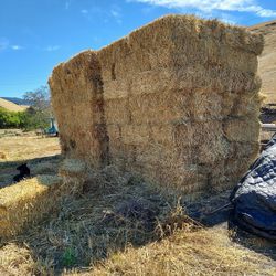 End Of Year Hay Sale
