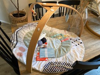 Skip Hop Baby Play Gym