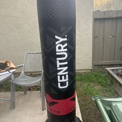 Punching Bag