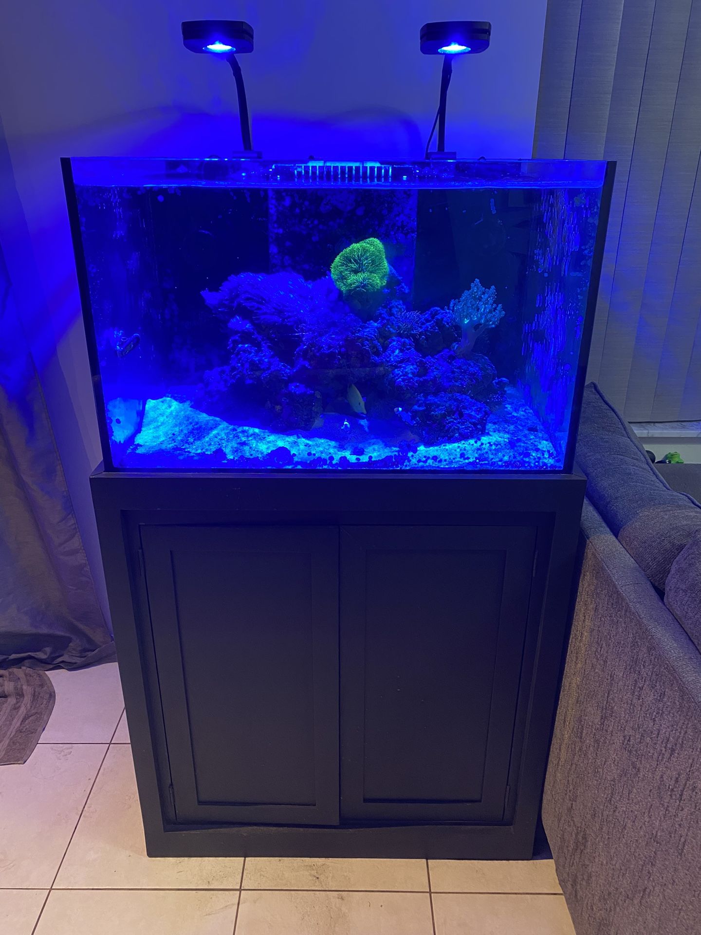 Rimless 65 Gallon Fish Tank