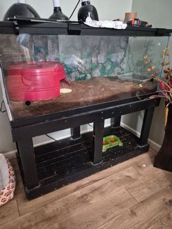 Reptile tank & stand
