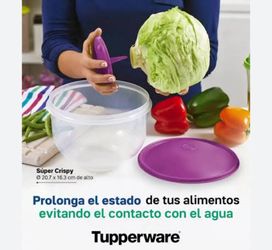 Tupperware,contenedor para guardar lechuga
