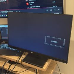 Phillips 27 Inch Monitor 