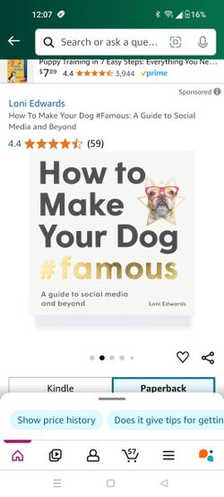 How To Make Your Dog #Famous: A Guide to Social Media and Beyond