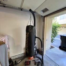 Ever last Punching Bag