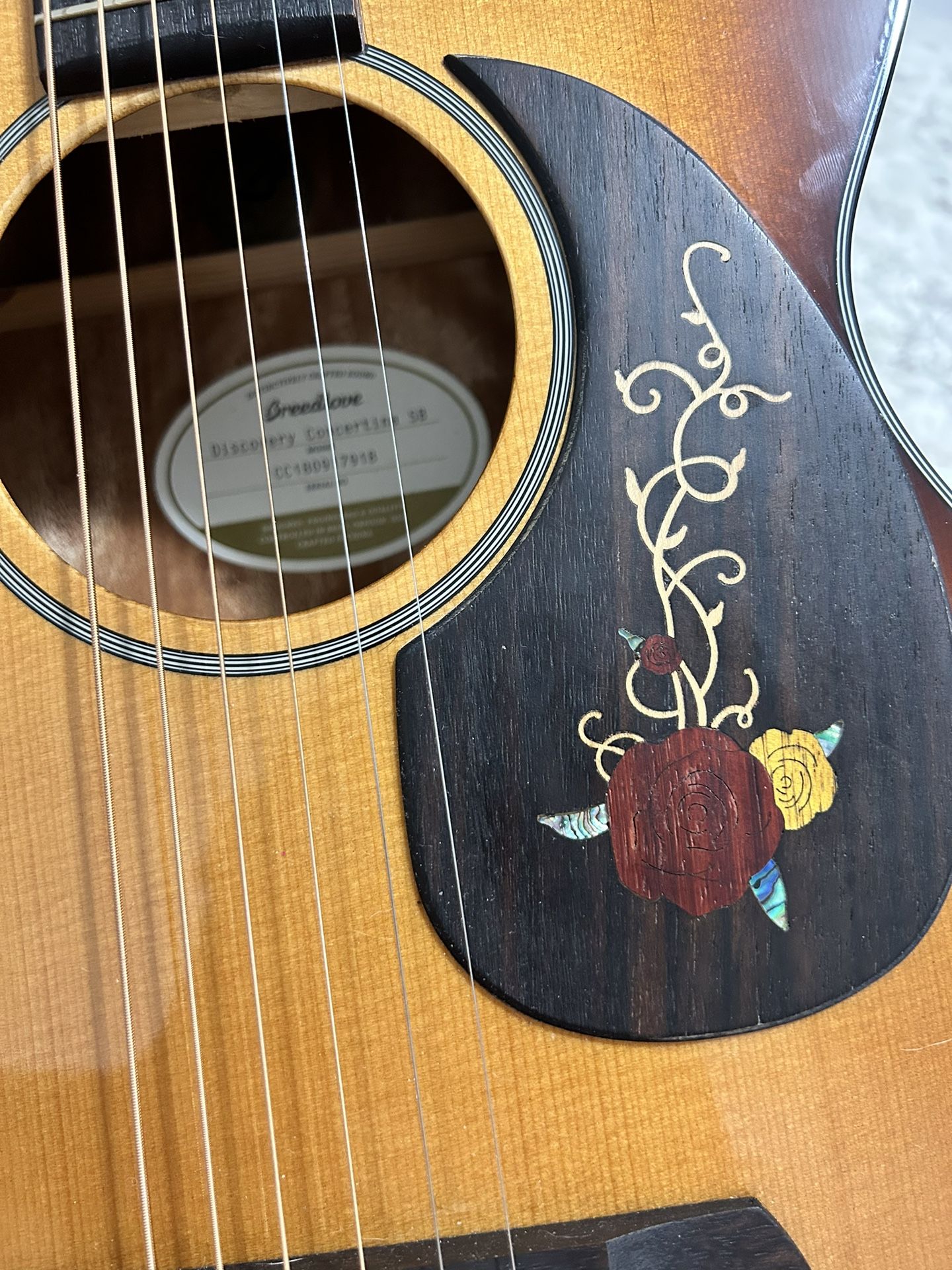 Breedlove Acoustic Guitar 