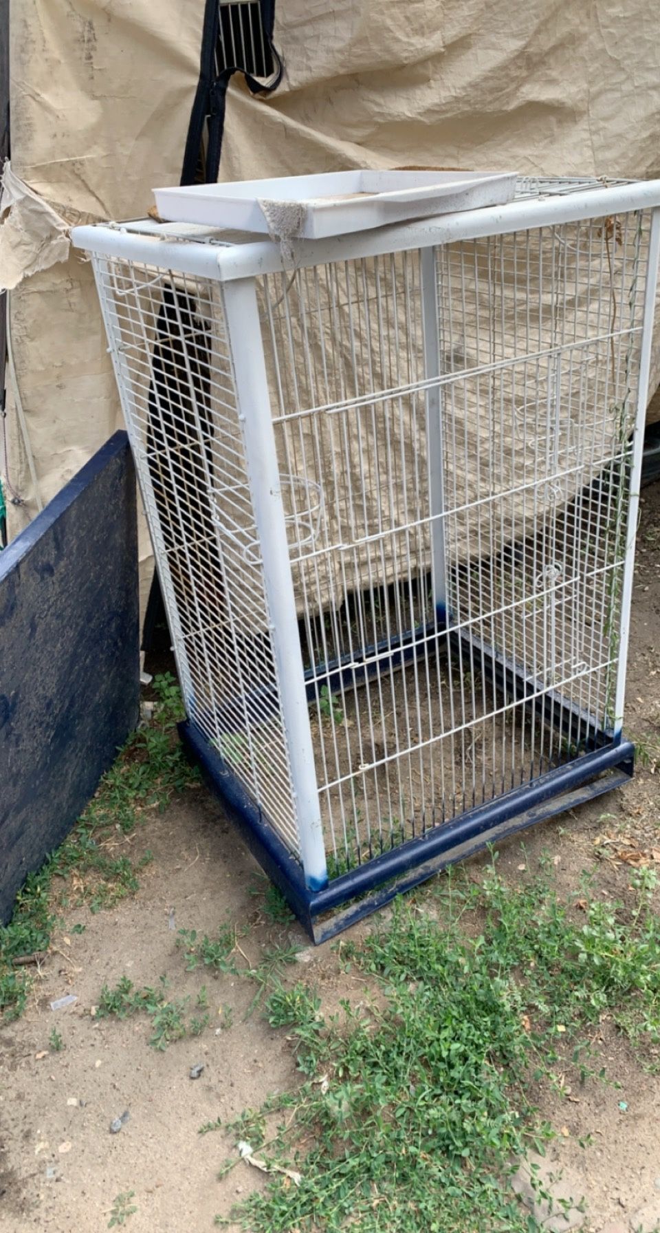 Bird Cage