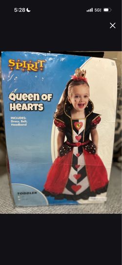 Girls toddler costume