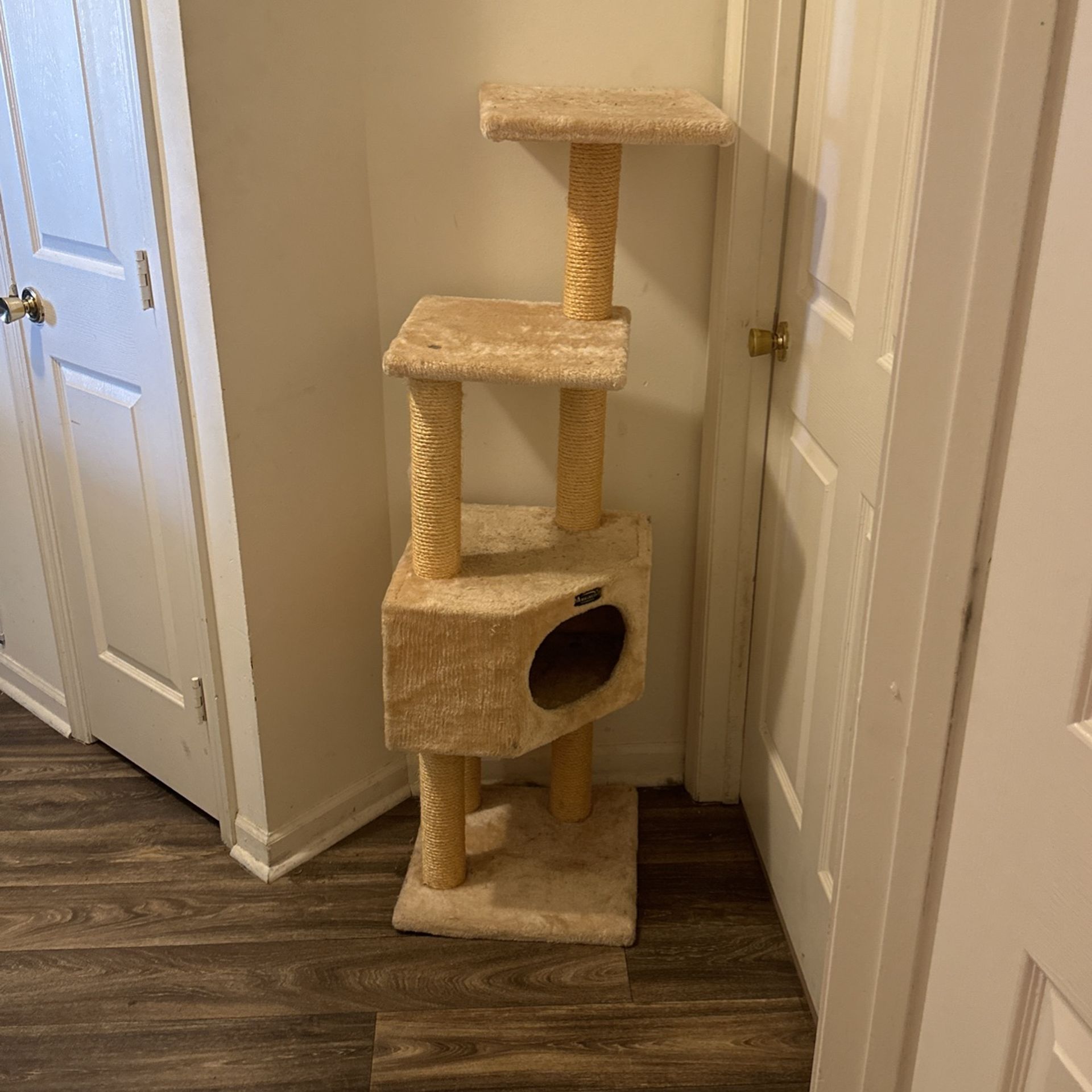 Cat Tower