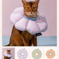 New! Flower Recovery Cone For Pets 