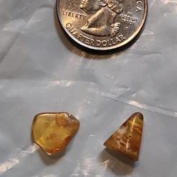 Real Amber