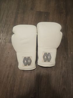 Floyd Mayweather boxing gloves