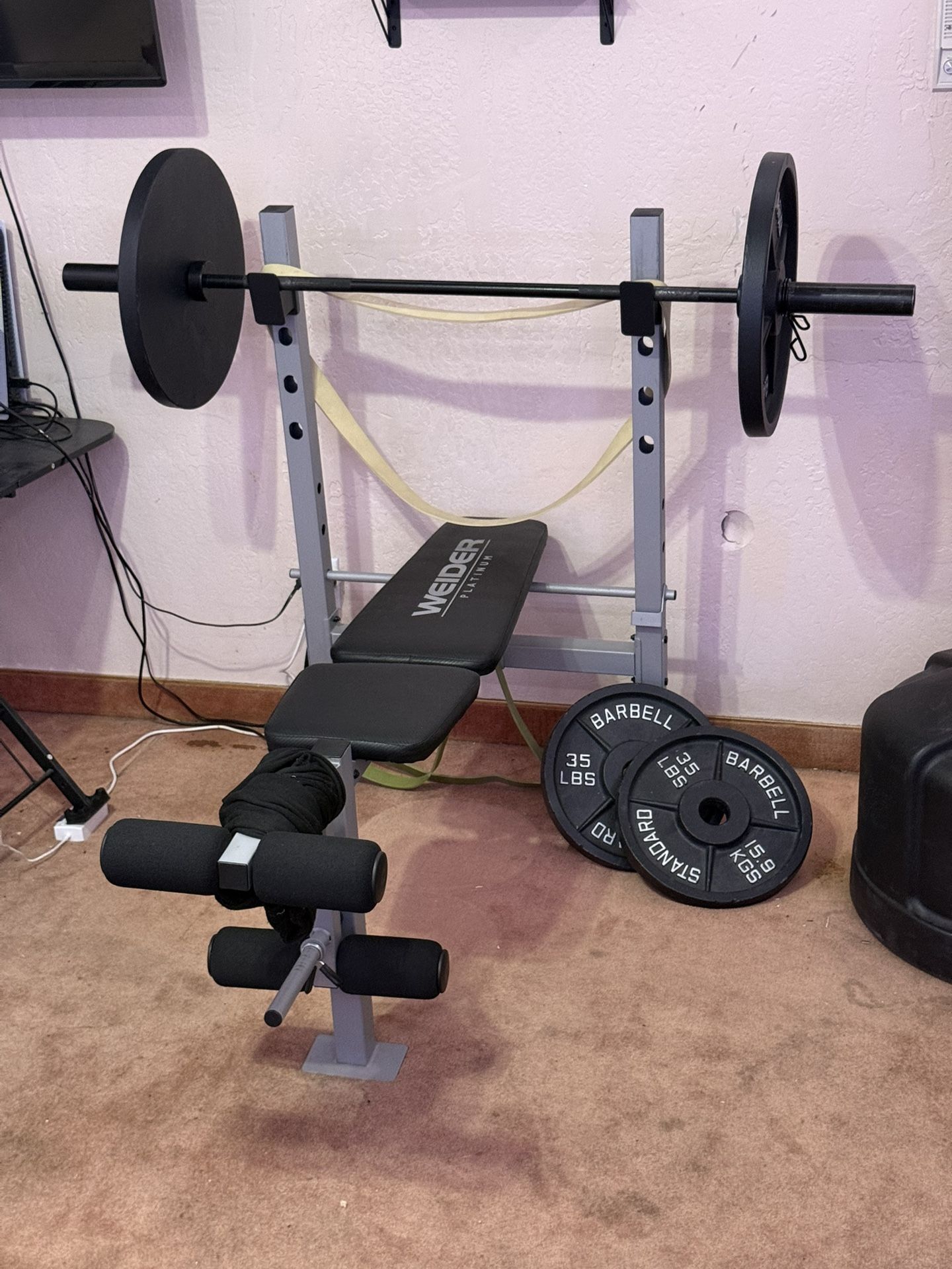 Weider Platinum Gym Bench And Adjustable Dumbbells