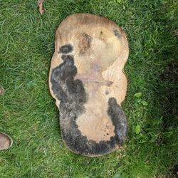 Live Tree Round "COOKIE" Slab-Decor Table Epoxy DIY