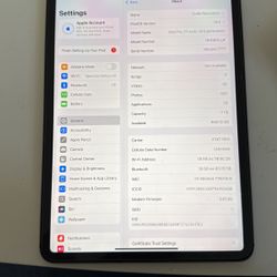 iPad Pro 11inch Cellular Data  And WiFi 