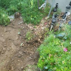 Irrigation Valves