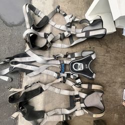 Harnesses 