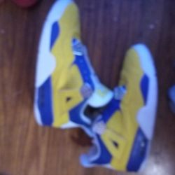 Custom Kobe Jordan 4ssize9.5