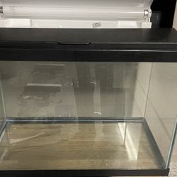 Fish tank/ Supplies