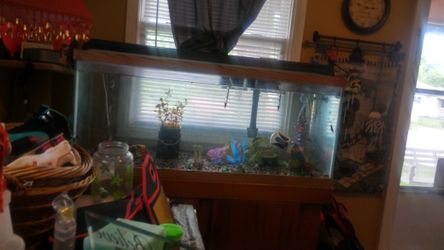 75 gal) Fish Tank