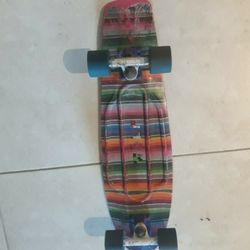 Penny Skateboard...  Lightweight Great Beginner Board