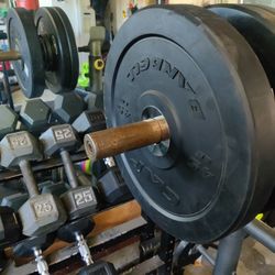 Pair Of 45 Pound Bumper Weights