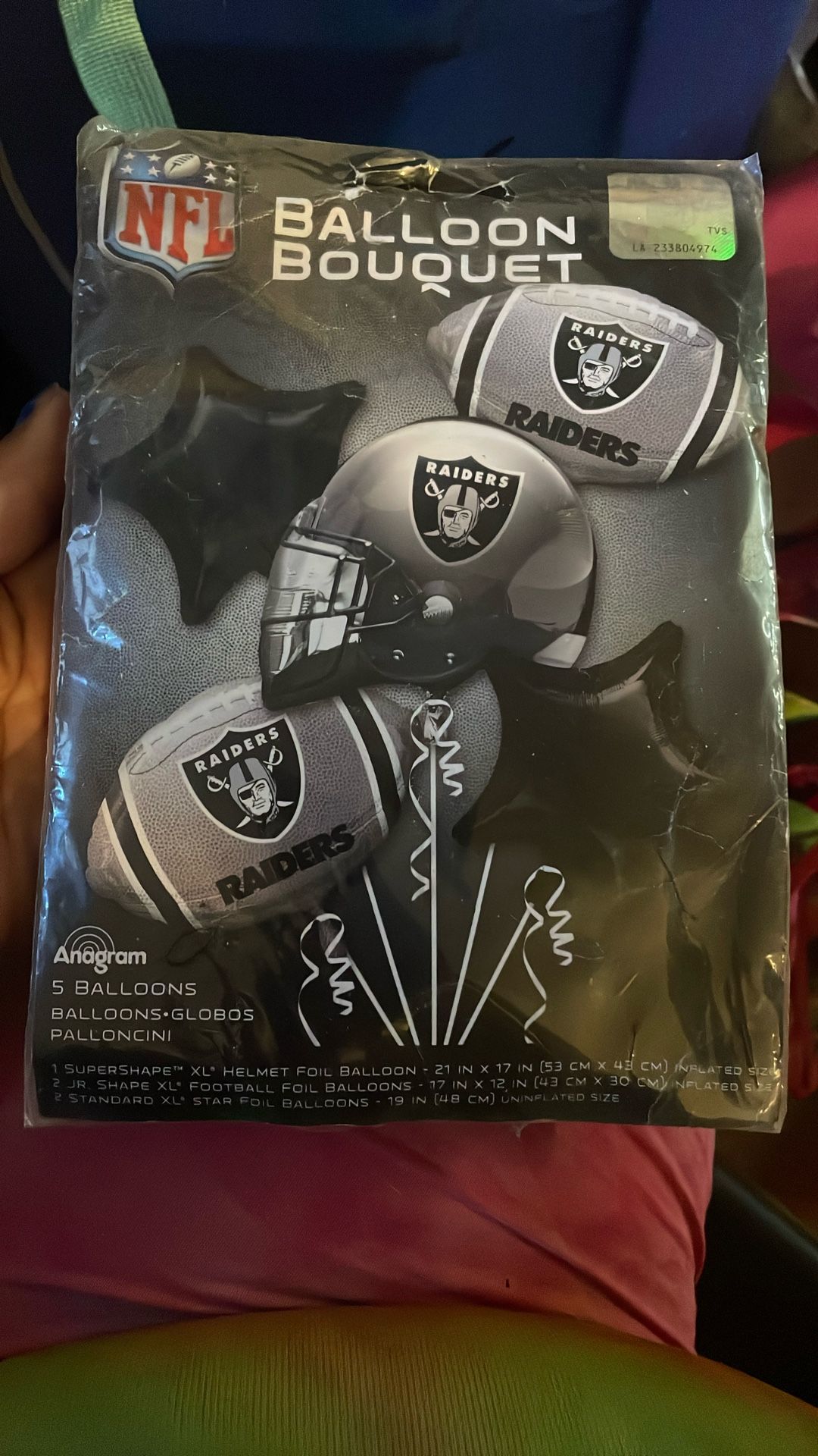Raiders Nation