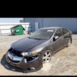 Acura TSX Parts