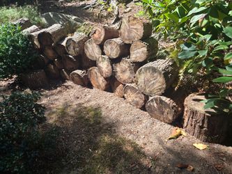 Free Firewood