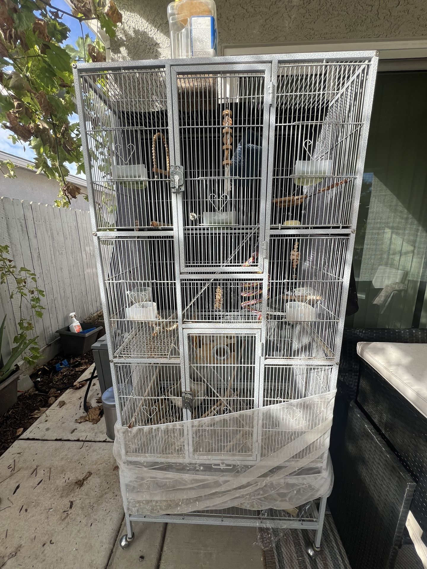 Bird Cage