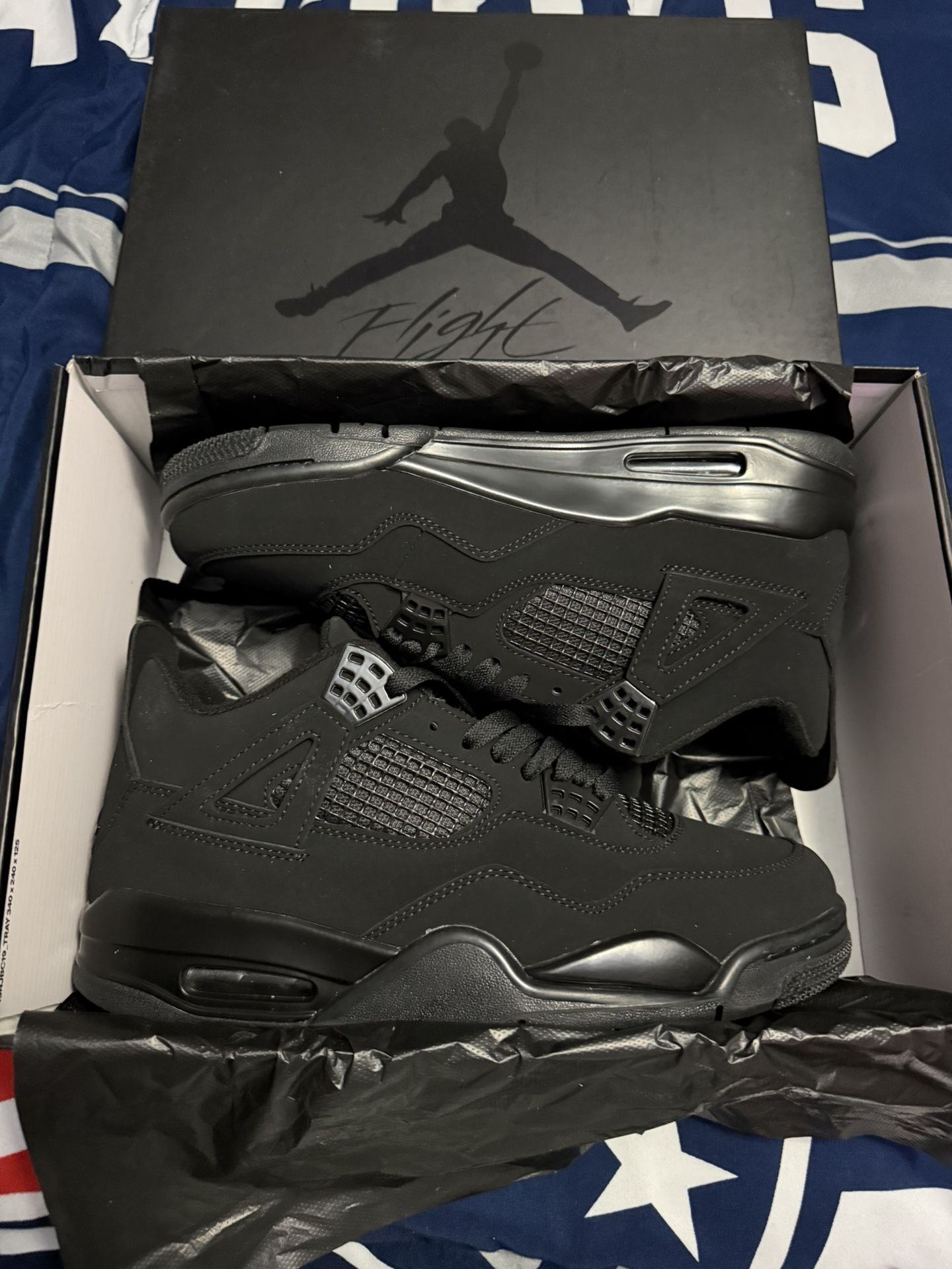 Air Jordan 4 Black Cat 