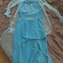 Elsa Dress And Wig